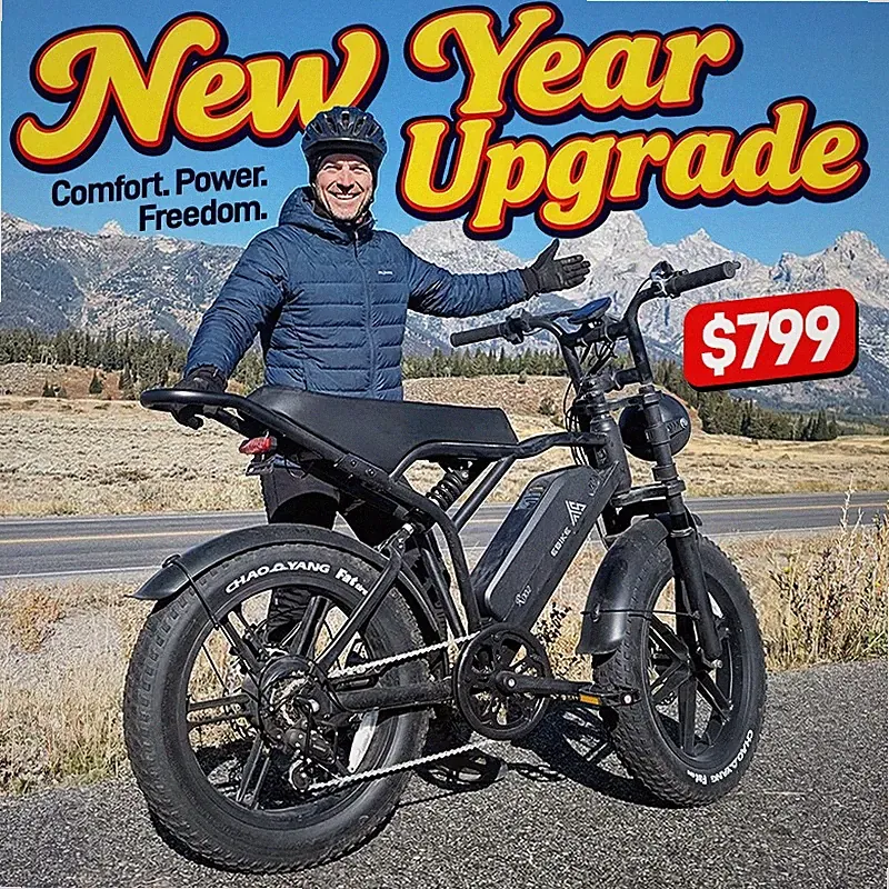 Electric Bike E-Bike 1500W 48V 15AH Adults Bicycle 20" Fat Tire Mountain Ebike